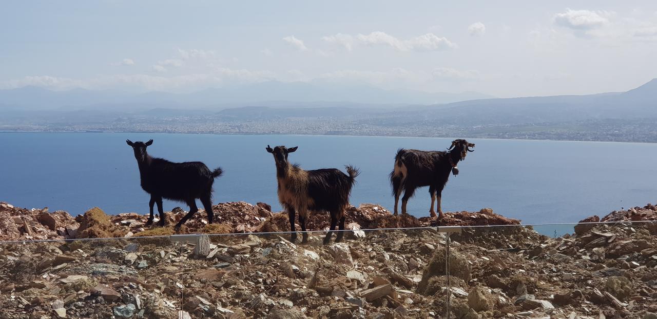 Ocean Villas Complex Agia Pelagia  Buitenkant foto