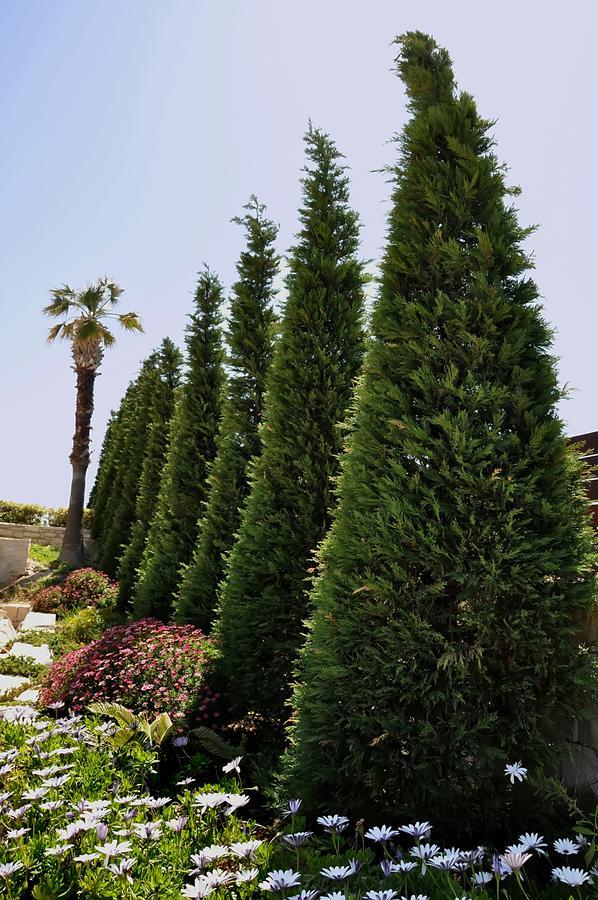 Ocean Villas Complex Agia Pelagia  Buitenkant foto